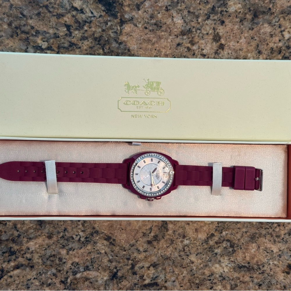 Coach Raspberry Watch